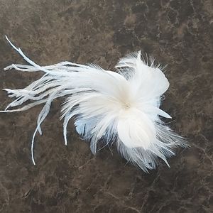 Feather Hair Piece